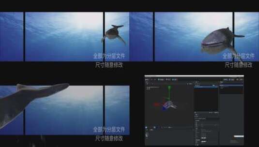 裸眼3D鲸鱼高清AE视频素材下载