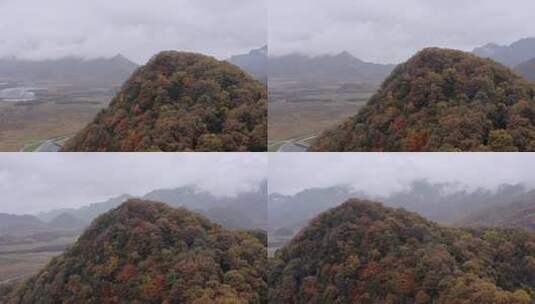 湖北神农架大九湖景区的阴雨秋天高清在线视频素材下载