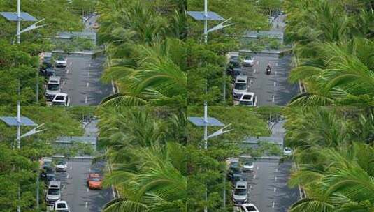 海南椰林大道下行驶的车辆高清在线视频素材下载