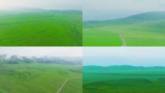 4K航拍新疆满屏那拉提绿色草原美景高清在线视频素材下载
