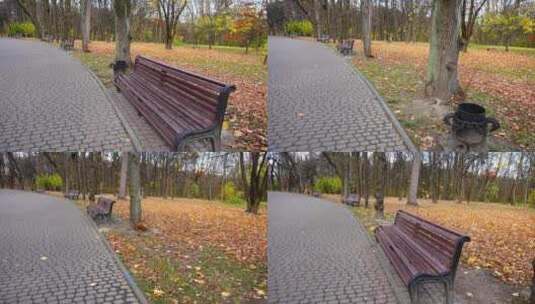 公园小路上的长凳高清在线视频素材下载