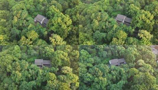 龙泉寺 龙山公园 阳明公园高清在线视频素材下载