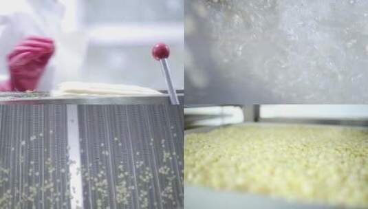 食品工厂玉米粒加工脱粒清洗冷冻鲜食玉米高清在线视频素材下载