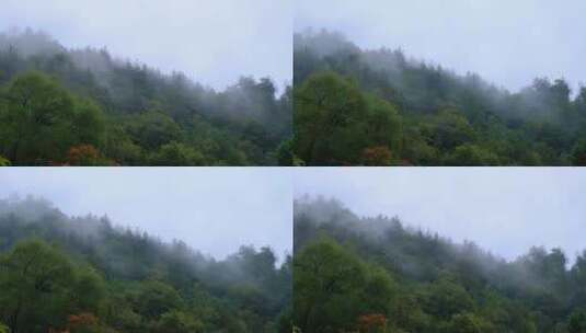 初秋雨中山脉云雾缭绕的绝美自然风光高清在线视频素材下载