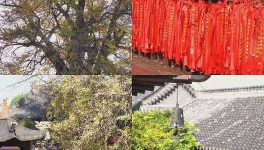 古观音禅寺秋季银杏树寺庙祈福上香香炉高清在线视频素材下载