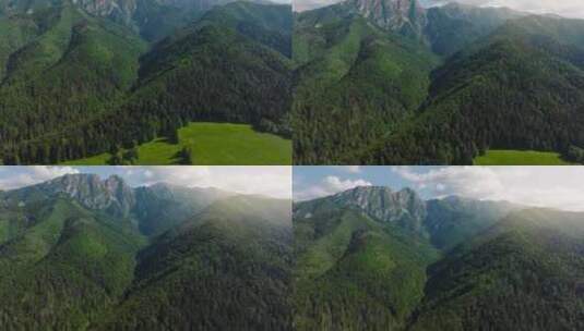 植被原始森林林区山区山脉高清在线视频素材下载
