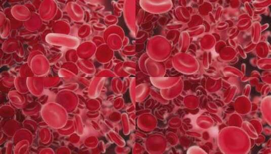 血液细胞活动高清在线视频素材下载