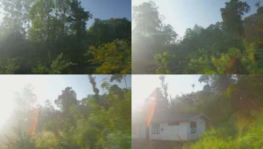 斯里兰卡丛林的景观高清在线视频素材下载