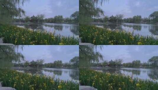 北京圆明园余晖下的春日风光高清在线视频素材下载