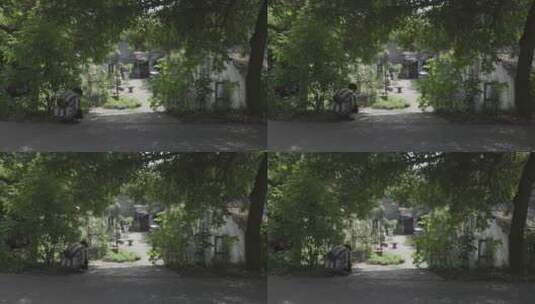 老街年代感建筑夏季树荫光影高清在线视频素材下载
