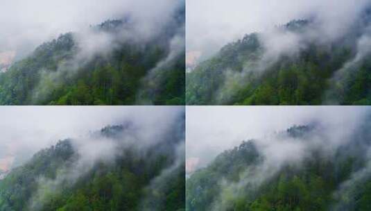 云雾缭绕的高山森林高清在线视频素材下载