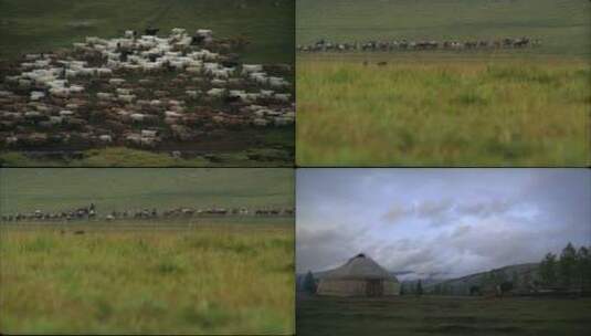 新疆草原哈萨克牧民放牧迁徙高清在线视频素材下载