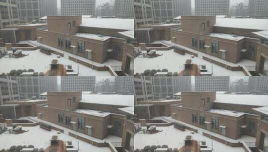郑州雪景 雪天 打雪仗 雪天实景高清在线视频素材下载