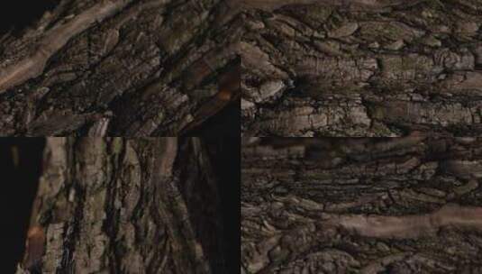 树皮龟裂 木头纹理裂纹高清在线视频素材下载