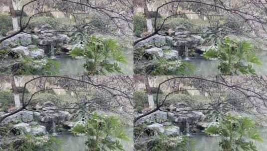 公园池塘小溪流水小瀑布4K高清在线视频素材下载