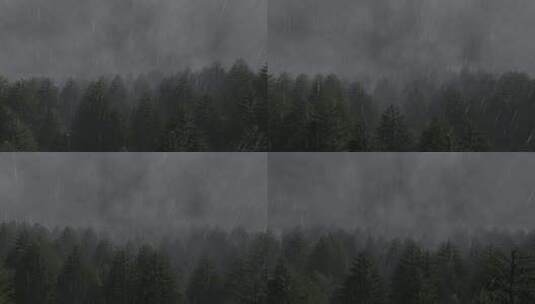 森林暴雨鸟瞰图高清在线视频素材下载