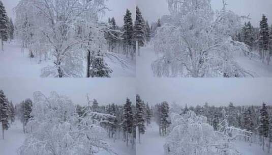 芬兰北极圈拉普兰，无人机在独特的白雪覆盖高清在线视频素材下载