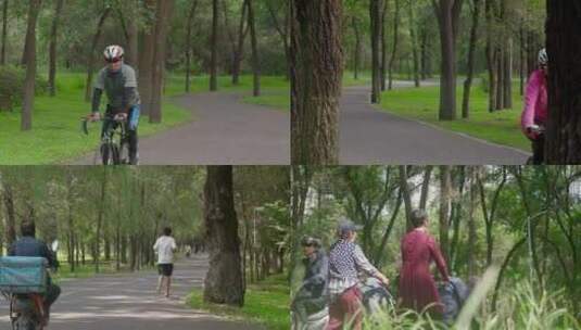 公园骑行锻炼运动 骑自行车 户外运动健身高清在线视频素材下载
