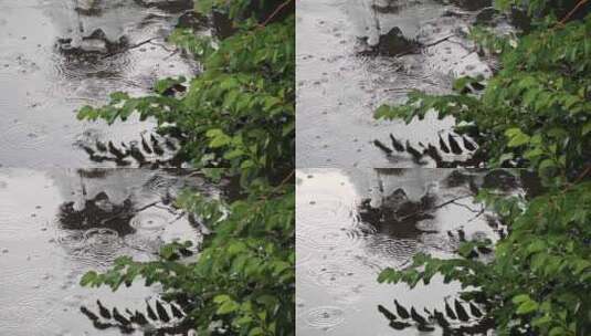 倾盆大雨高清在线视频素材下载