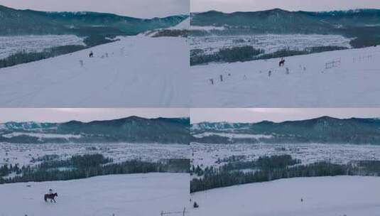 一人骑马在哈登观景台俯瞰禾木村雪景高清在线视频素材下载