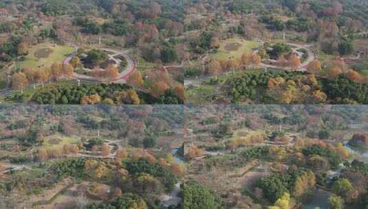 深秋的芜湖神山公园风光航拍素材高清在线视频素材下载