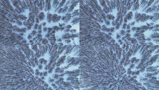 雪地森林航拍视角高清在线视频素材下载
