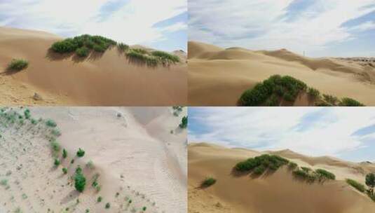 沙漠沙丘绿植自然景观高清在线视频素材下载