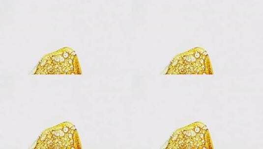 黄色液体微距特写高清在线视频素材下载