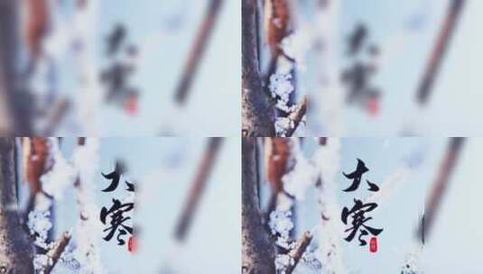 原创二十四节气大寒节气冬天树木雪景蓝色高清AE视频素材下载