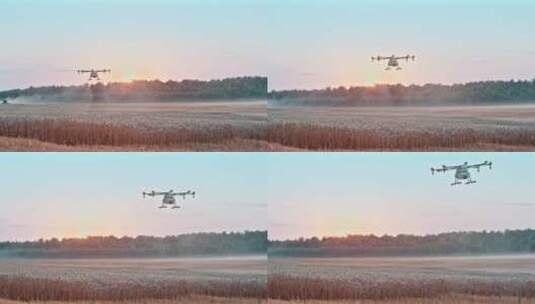 无人机为小麦农田播撒高清在线视频素材下载