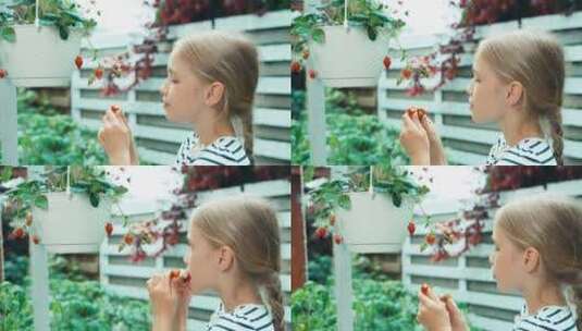 女孩在花园里摘草莓吃高清在线视频素材下载