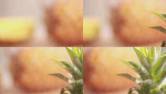 废弃水果凤梨菠萝皮高清在线视频素材下载
