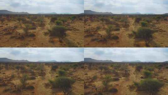 非洲大草原航拍景观高清在线视频素材下载