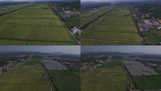 大规模稻田和大棚的航拍镜头高清在线视频素材下载