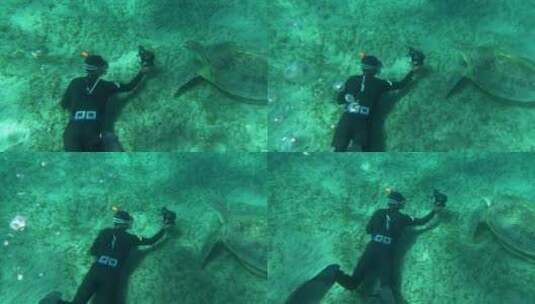 潜水员给一只海龟拍照高清在线视频素材下载