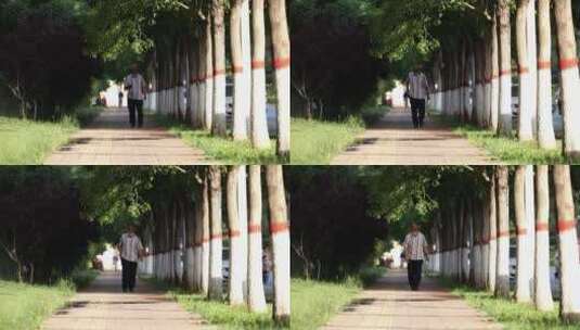 一个男人走在光影的林荫小道上慢动作高清在线视频素材下载
