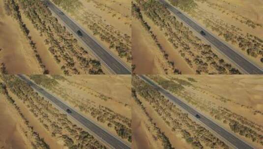 新疆塔克拉玛干沙漠公路和防护林高清在线视频素材下载