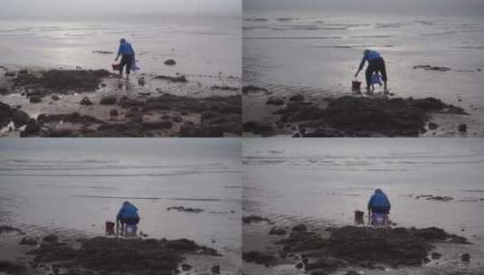 渔民赶海挖海鲜贝类沙滩海边退潮捕鱼生活高清在线视频素材下载