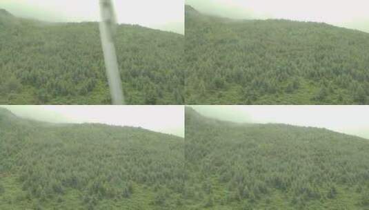 车窗外的树林海高清在线视频素材下载