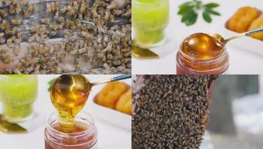 蜂蜜合集高清在线视频素材下载