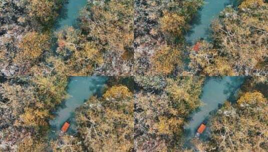 杭州西溪雪景高清在线视频素材下载