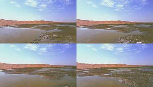 沙漠湖泊湿地沙漠绿洲高清在线视频素材下载