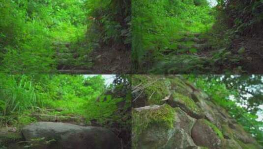山林中的小路   山间小路   自然风光高清在线视频素材下载