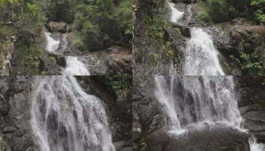 浙江温州泰顺县乌岩岭白天山涧流水高清在线视频素材下载