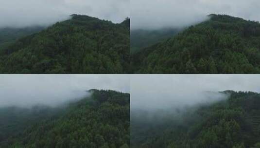 青山薄雾秋天自然航拍风景美丽大山雾气飘渺高清在线视频素材下载