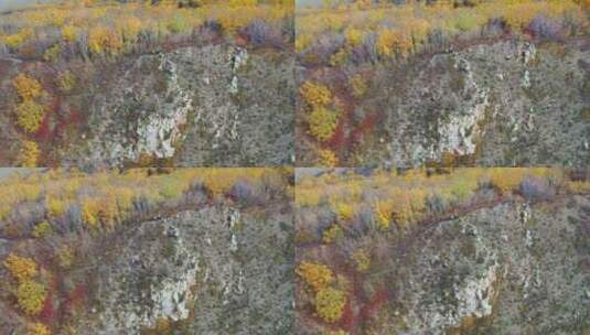 秋景乌兰布统高清在线视频素材下载