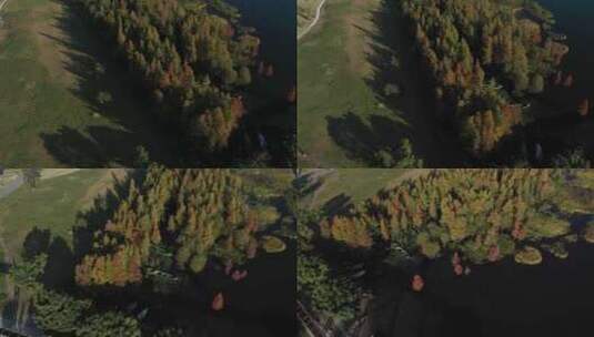 大理丽江洱海泸沽湖秋天秋景秋季航拍高清在线视频素材下载