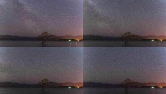 新西兰瓦纳卡湖孤独的树wanaka星空高清在线视频素材下载