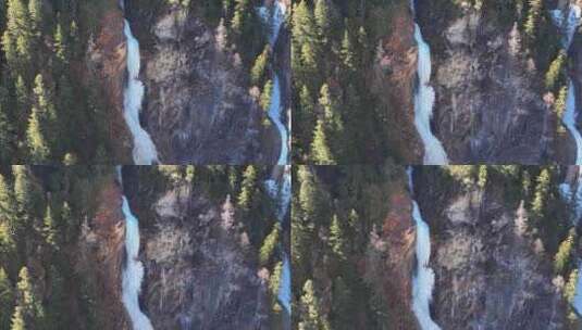 航拍川西四姑娘山双桥沟景区森林冰瀑景观高清在线视频素材下载