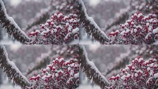 北京冬天雪景高清在线视频素材下载